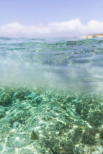 Load image into Gallery viewer, Crystal clear underwater view of the ocean, highlighting the beauty of marine life in the limited edition Framed Coastal Wall Art - Oceana II.