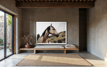 Load image into Gallery viewer, Minimalist interior showcasing 'Horse Art' named 'Side Eye Susan 0212', where a striking horse portrait adds character to the cozy atmosphere.