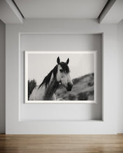 Load image into Gallery viewer, Stunning Horse Wall Art titled 'Perky Patrice 0213' by Addison Jones Studio featured in a modern home setting, showcasing the majestic beauty of a horse with a minimalist aesthetic.