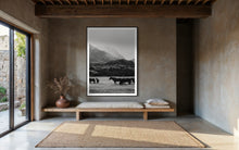 Load image into Gallery viewer, Horse Art - Limited Edition Black and Equwhite 0241 Fine Art Print from Patagonia Farm