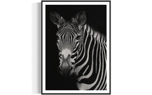 Load image into Gallery viewer, Large Wall Art of Harold the Oldest Zebra - Limited Edition and Hand-Signed by Addison Jones Studio