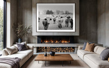 Load image into Gallery viewer, Texas Longhorn Photography Prints For Sale-Bold Bloodline