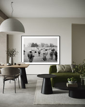 Load image into Gallery viewer, Texas Longhorn Photography Prints For Sale-Bold Bloodline