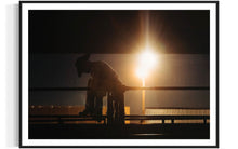 Load image into Gallery viewer, Western Photography-Bright Knight