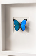 Load image into Gallery viewer, Blue Butterfly Wall Decor-No. 1267 Light+Vivid