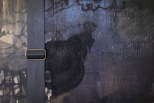 Load image into Gallery viewer, Contemporary Painting-Tethered Ash