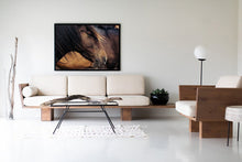 Load image into Gallery viewer, Horse Wall Art-Contemplative Conrad 023
This piece of horse wall art named "Contemplative Conrad 023" was part of a landscape series shot in Patagonia. This print is a limited edition, hand-signed piece with a certificate of authenticity.
E D I T I O N:
1/25