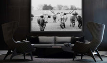 Load image into Gallery viewer, Texas Longhorn Photography Prints For Sale-Bold Bloodline