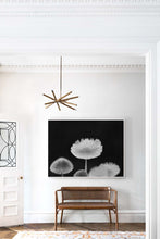 Load image into Gallery viewer, Black White Prints-Blooming Revelation