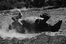 Load image into Gallery viewer, Extra Large Photo Print-Pure Bliss
This extra large photo print named "Pure Bliss" was part of a landscape series shot in Patagonia. This is a limited edition, hand-signed piece with a certificate of authenticity.
E D I T I O N:
1/25