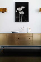 Load image into Gallery viewer, Framed Photography-Mushroom Evolution