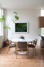 Load image into Gallery viewer, Framed Prints-Majestic Frond