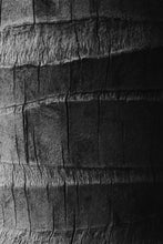 Load image into Gallery viewer, Framed Wall Art-Built to Last
This piece of framed wall art titled "Built to Last" was part of a landscape series shot in Turks and Caicos. This is a limited edition, hand-signed piece with a certificate of authenticity.
E D I T I O N:
1/25