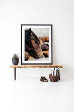 Load image into Gallery viewer, Stylish interior featuring 'Horse Wall Art' - a framed image of a horse, beautifully displayed on a rustic wooden bench, enhancing the decor with equine elegance.