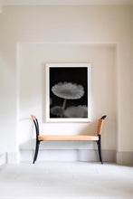 Load image into Gallery viewer, Modern Art-Passive Proliferation