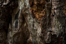 Load image into Gallery viewer, Photography Prints For Sale-Deep Within
This photography print for sale named "Deep Within" was part of a landscape series shot in Patagonia. This is a limited edition, hand-signed piece with a certificate of authenticity.
E D I T I O N:
1/25