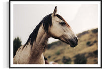 Load image into Gallery viewer, Close-up of &#39;Horse Art&#39; titled &#39;Side Eye Susan 0212&#39;, highlighting a majestic horse&#39;s profile beautifully framed, ideal for art enthusiasts and collectors.
