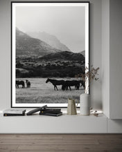 Load image into Gallery viewer, Horse Art - Limited Edition Black and Equwhite 0241 Fine Art Print from Patagonia Farm
