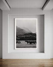 Load image into Gallery viewer, Horse Art - Limited Edition Black and Equwhite 0241 Fine Art Print from Patagonia Farm
