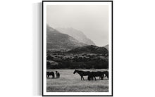 Load image into Gallery viewer, Horse Art - Limited Edition Black and Equwhite 0241 Fine Art Print from Patagonia Farm
