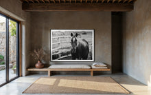 Load image into Gallery viewer, Charming living space showcasing the black and white horse art &#39;Limited Edition Horse Pictures - Morose Molly 0211 by Addison Jones Studio&#39;, beautifully framed, adding rustic elegance to the room.
