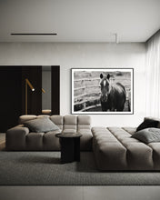 Load image into Gallery viewer, Stylish modern lounge highlighting a striking framed image of a horse, &#39;Limited Edition Horse Pictures - Morose Molly 0211 by Addison Jones Studio&#39;, complementing the minimalist decor.

