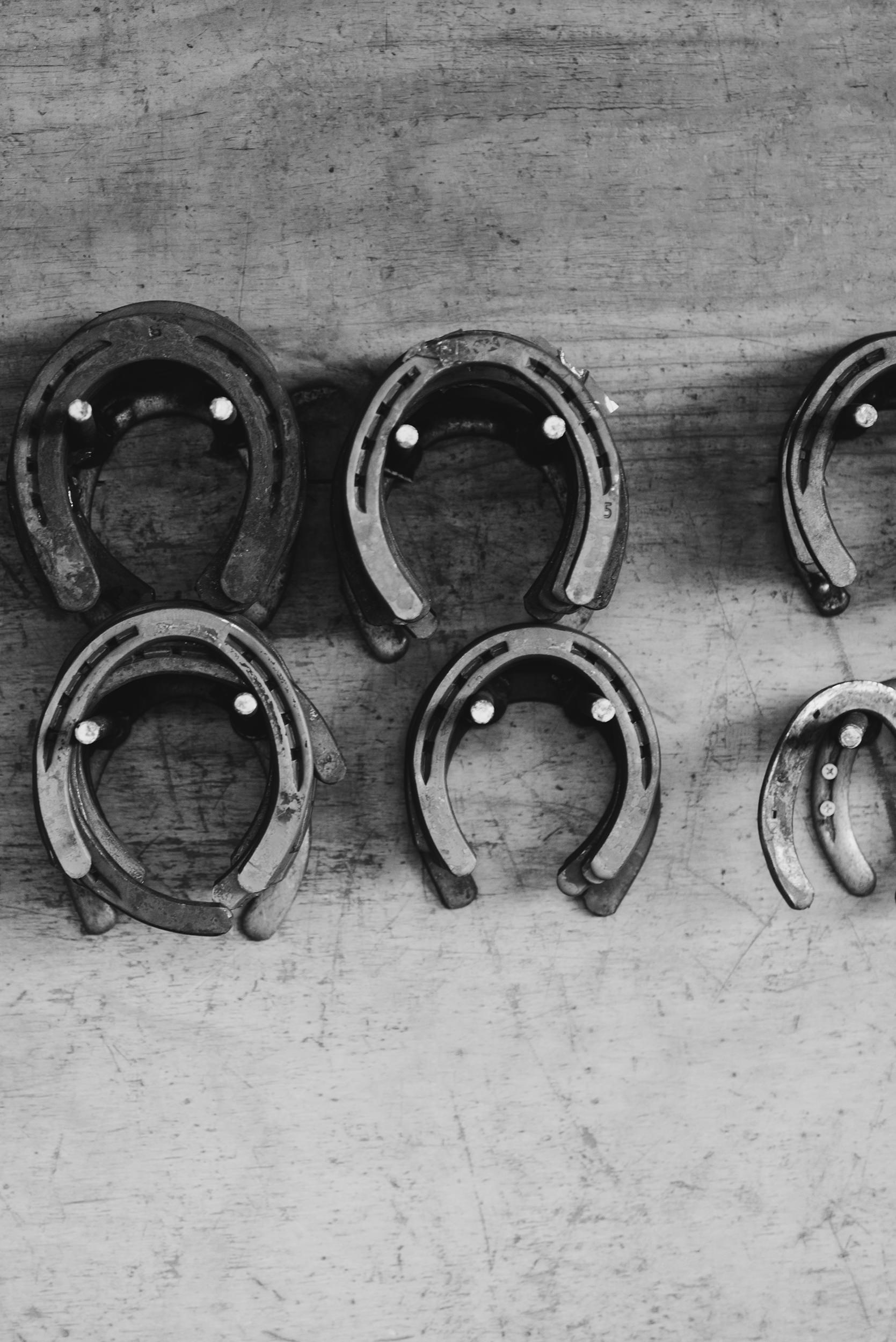 Limited Edition Western Art - Shoe Store 0217 Hand-Signed Artwork featuring a collection of horseshoes on a rustic wooden surface.