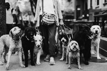 Load image into Gallery viewer, New York Artists Fine Art Photography-The Dog Walker 911
