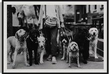 Load image into Gallery viewer, New York Artists Fine Art Photography-The Dog Walker 911
