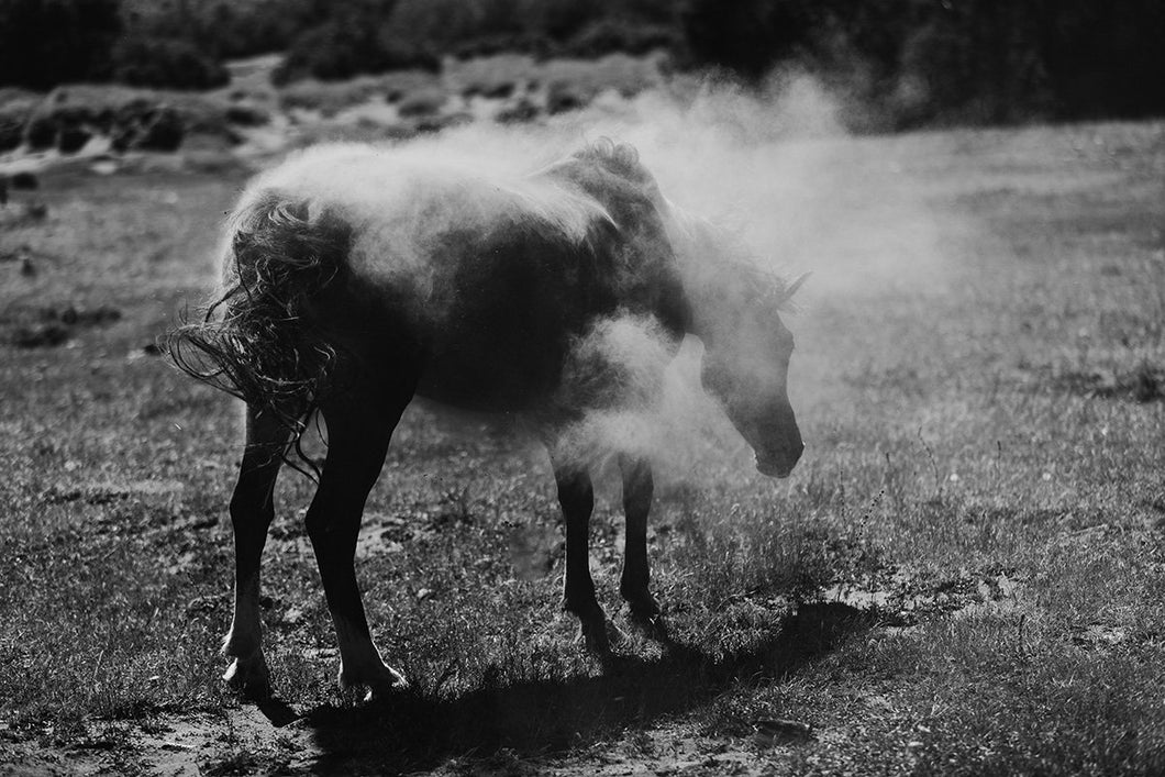 Beautiful Black White Photos-Dusty Dale

This beautiful black and white photo named 