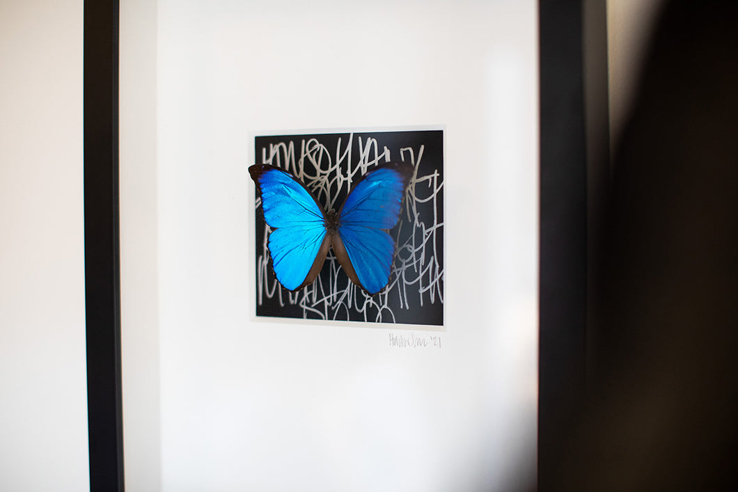 Butterfly Wall Decor-No.1268 Cobalt+Coal